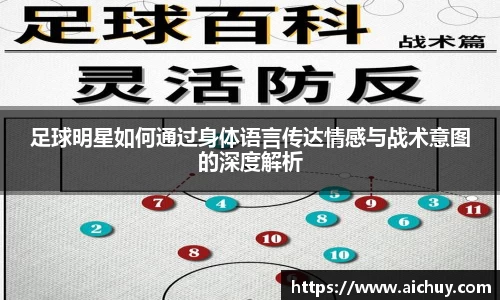 8868体育官网